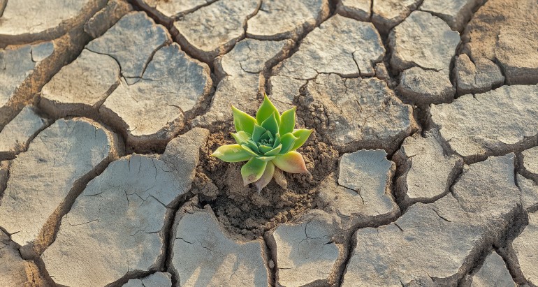 The Complete Web Development Course